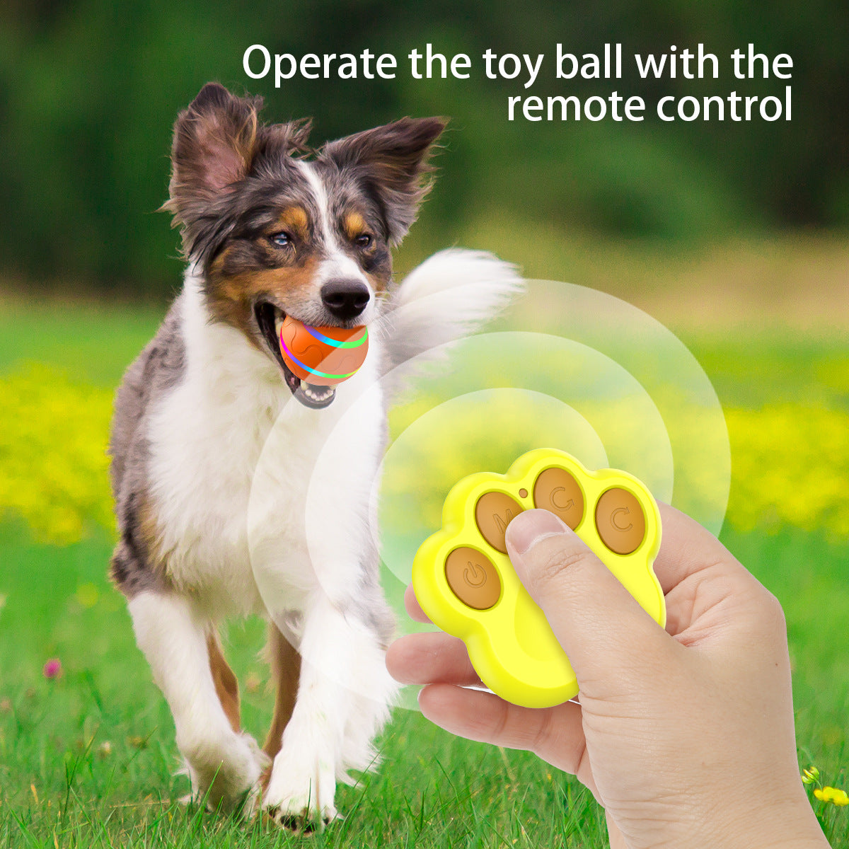 Interactive Auto Pet Toy Ball with Remote Control - USB Rechargeable, LED Lights, Sturdy & Waterproof(orange)