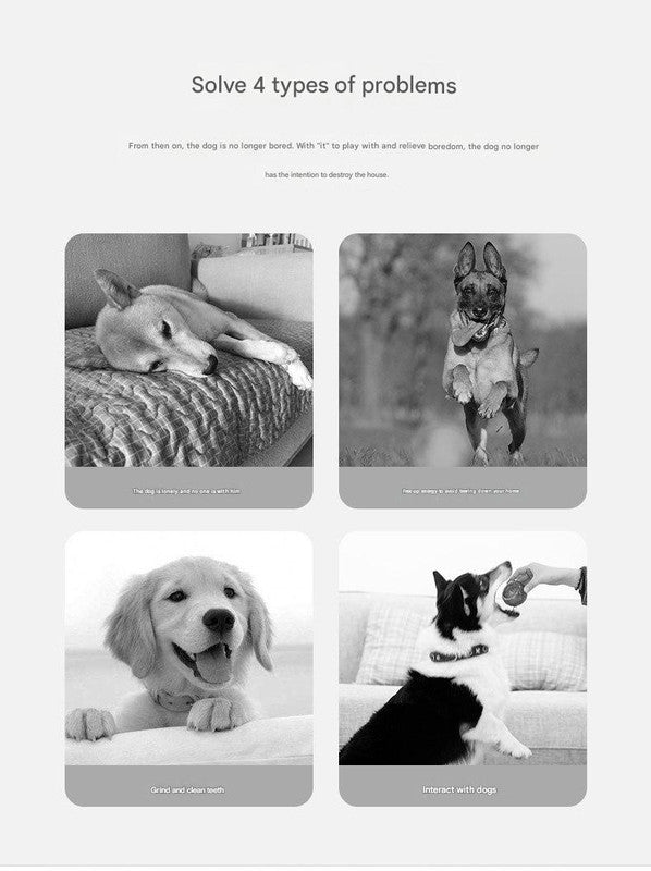 Durable Dog Training Interactive Ball with Sensory Tags(Strawberry Girl)