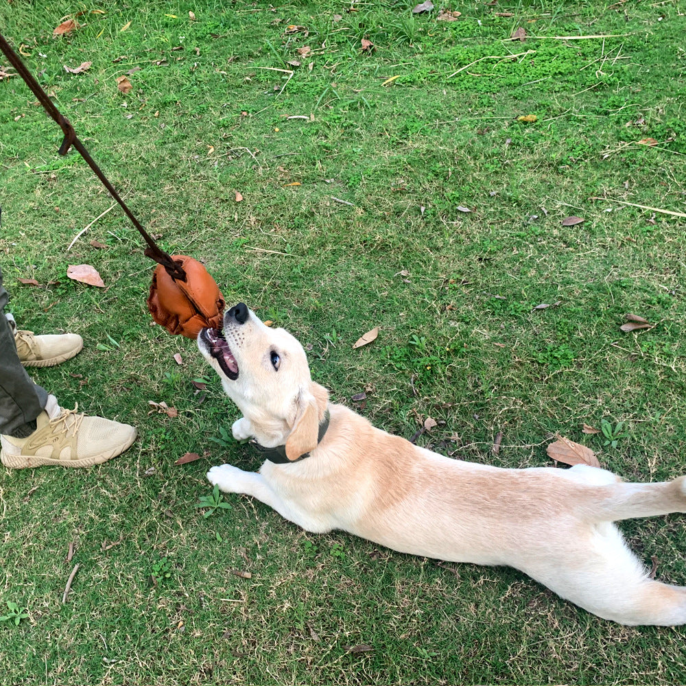 Black Durable Leather Dog Training Ball with Loop Handle - Interactive Bite & Tug Toy for Playful Pups
