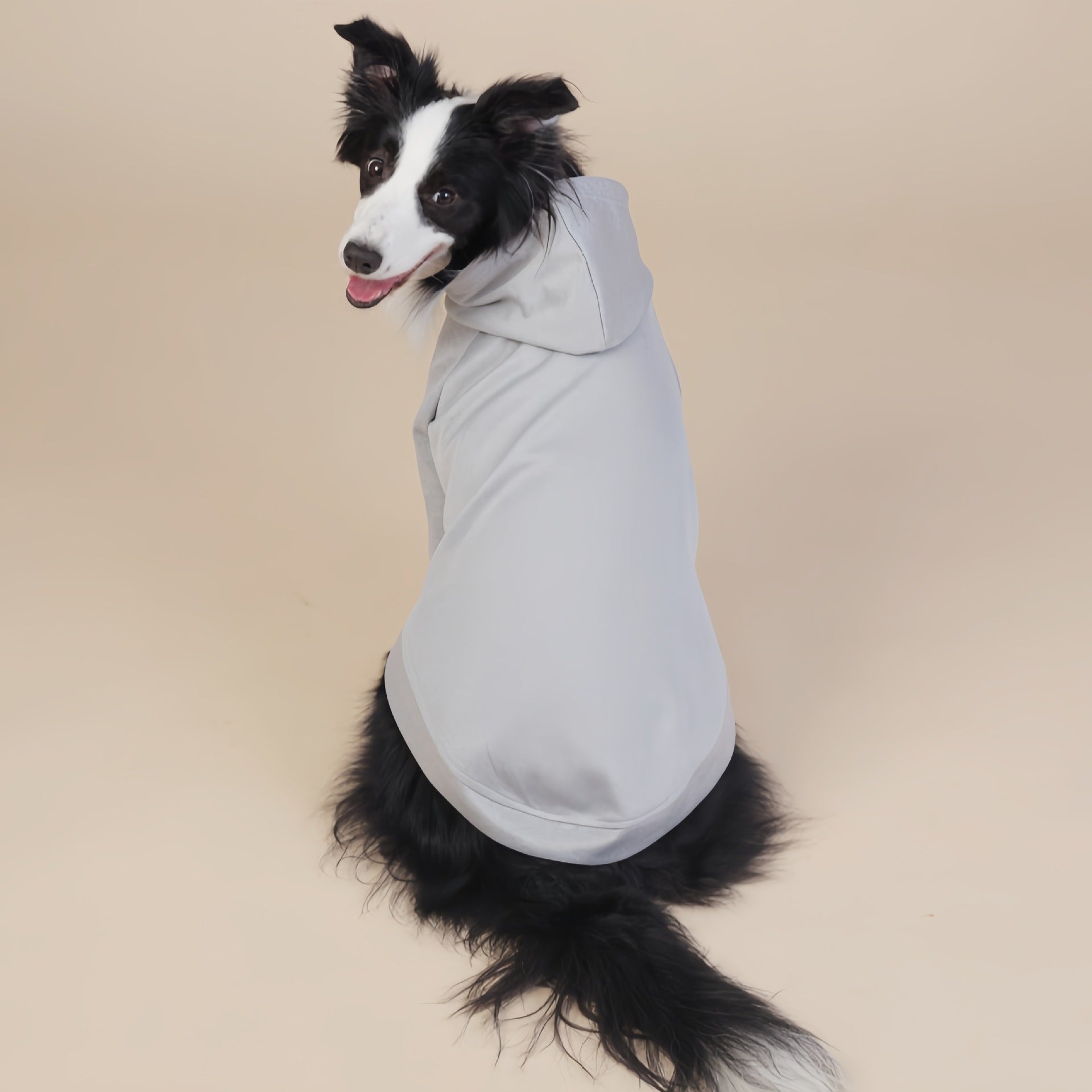 Grey Classic Dog Sweatshirt with Hood & Drawstrings - For Large Dogs (Size : 8XL)